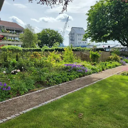 Dom * Schleswig